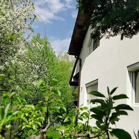 Vendégház Casa File De Poveste